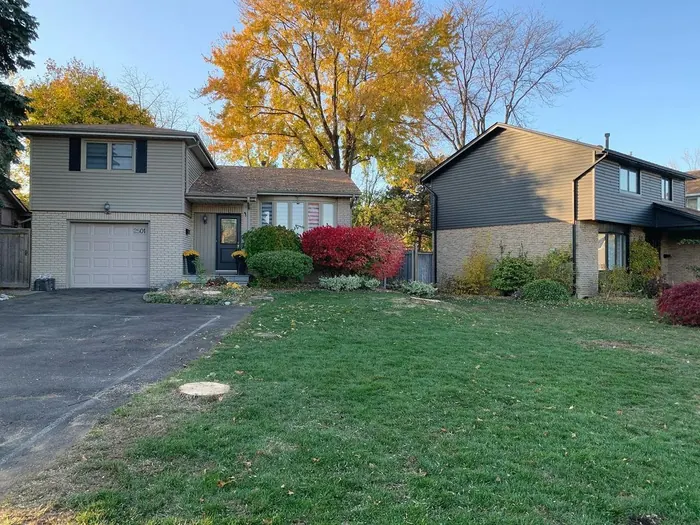 After: the same houses with the dead trees gone and a clean lawn.