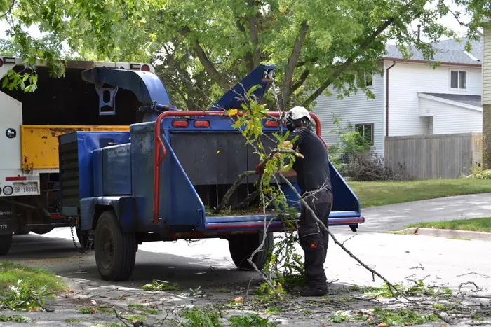 A crew member feeding branches into a wood chipper on a residential street.