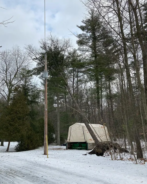 A large tree uprooted across a snowy property after a winter storm.